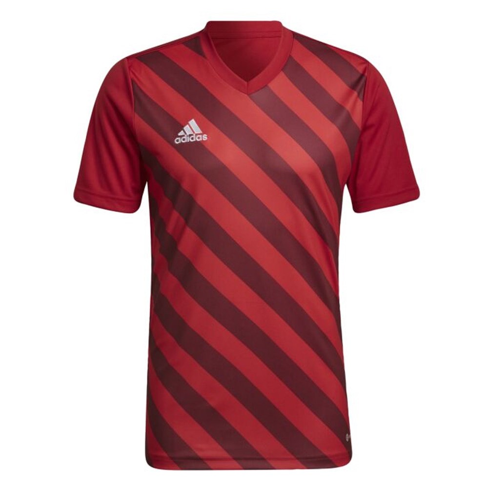 Adidas Entrada 22 Graphic Jersey for Youth - Red