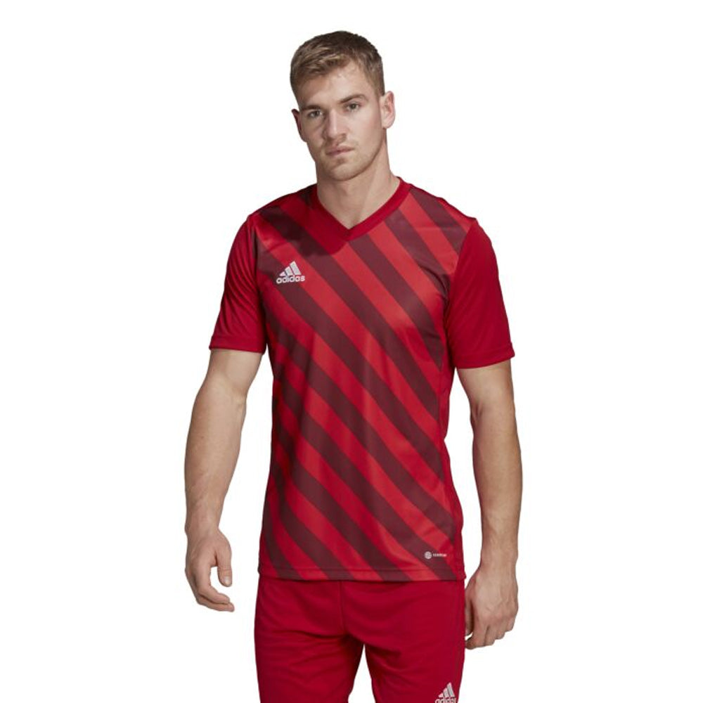 Adidas Entrada 22 Graphic Jersey for Youth - Red