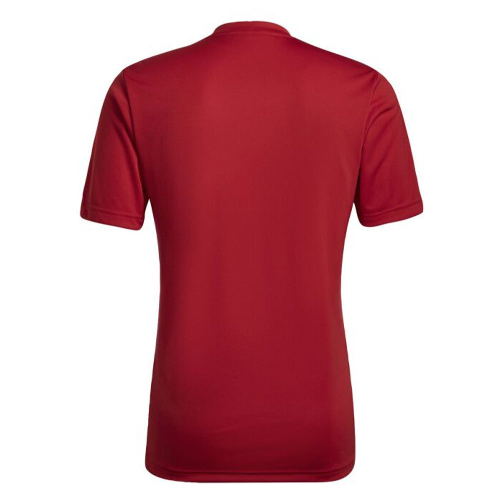 Adidas Entrada 22 Graphic Jersey for Youth - Red