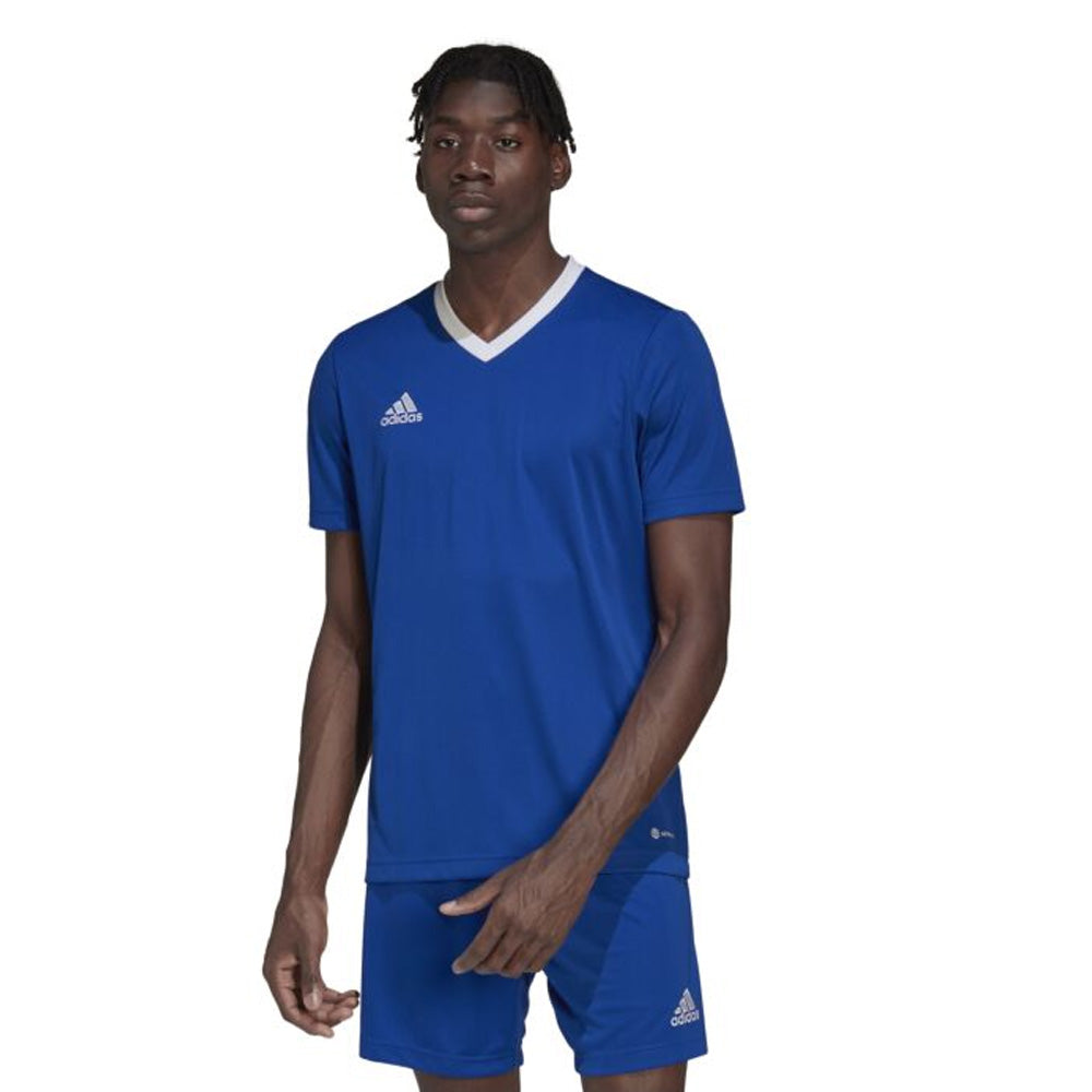 Adidas Entrada 22 Youth Jersey, Royal/White