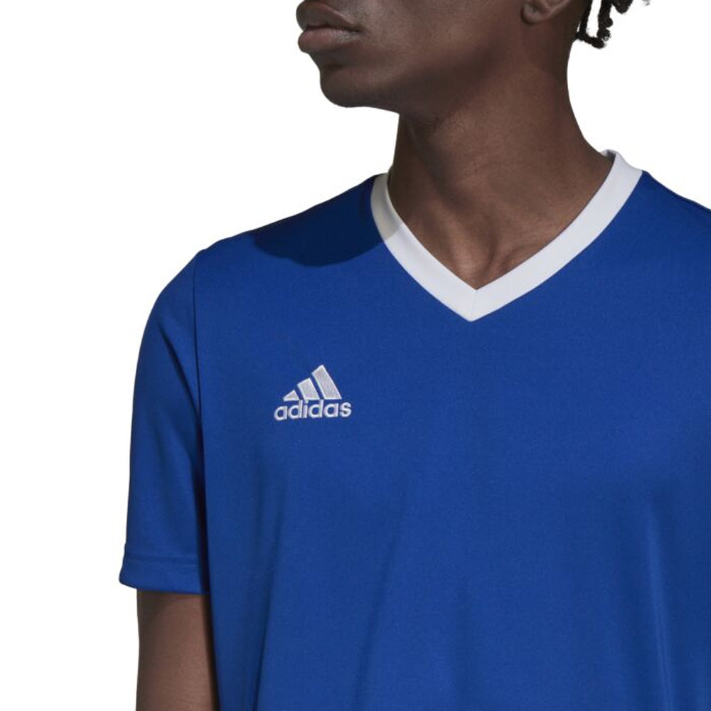 Adidas Entrada 22 Youth Jersey, Royal/White