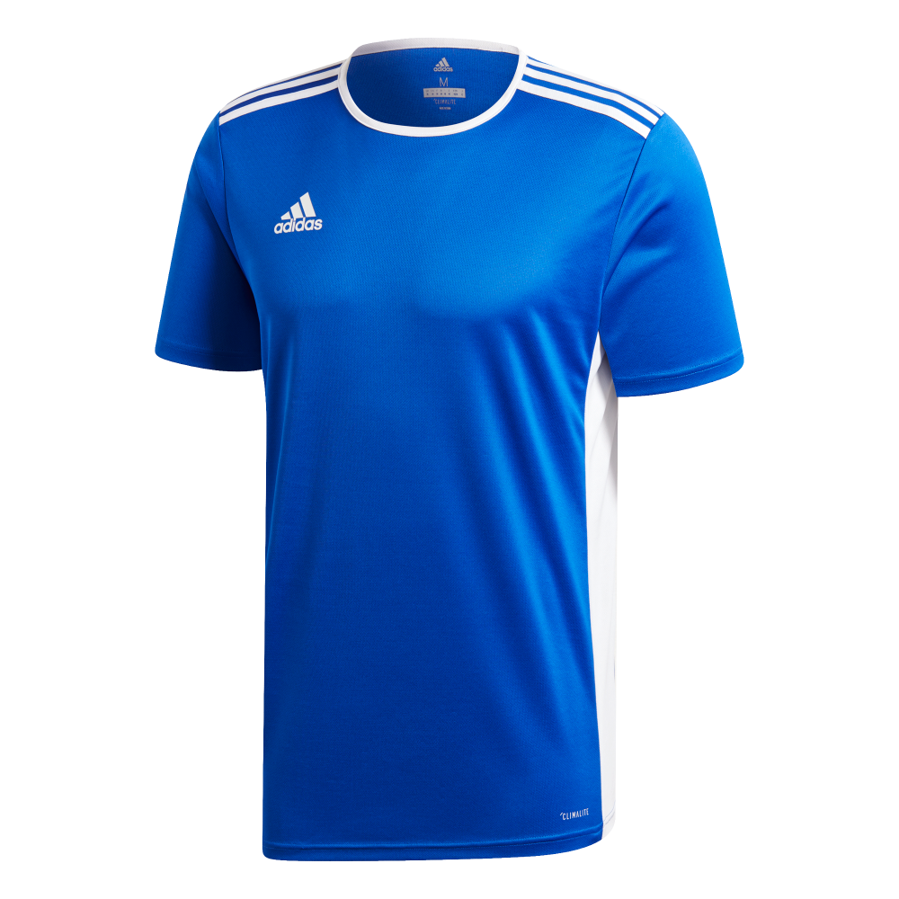 Adidas Youth Entrada 19 Jersey - Blue/White - Best Price!