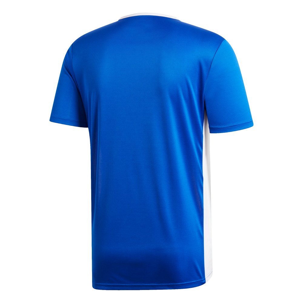 Adidas Youth Entrada 19 Jersey - Blue/White - Best Price!