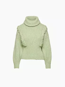 Chunky Knit Turtleneck