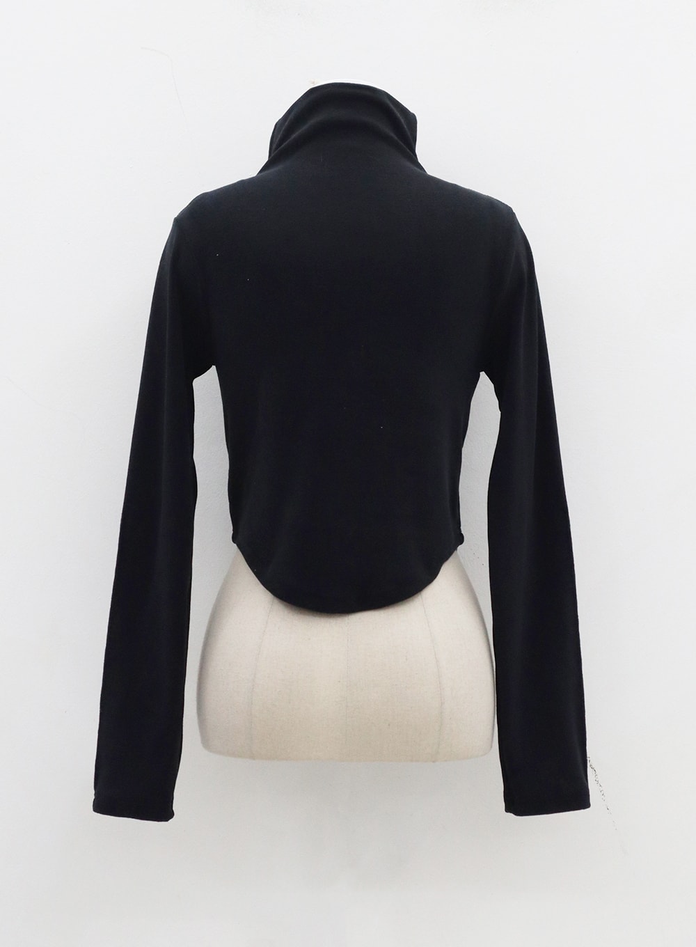 Crop Turtleneck with Bust Stripe Detail, CJ309